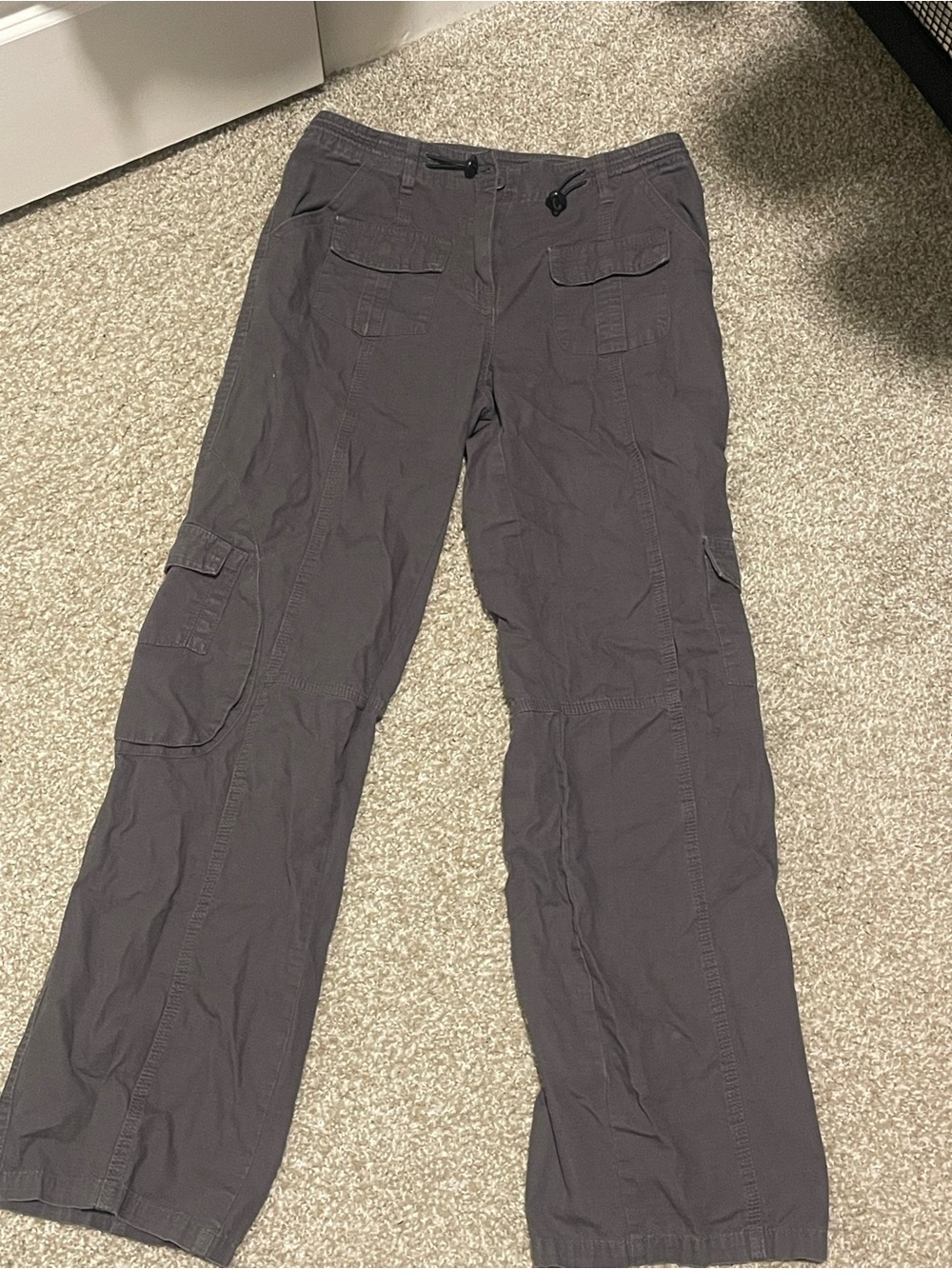 Brandy Melville Cargo Pants in Dark Gray
